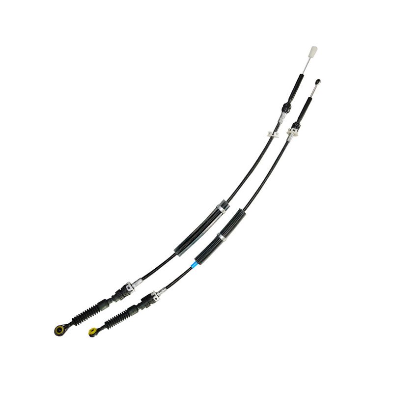 RENCC-3903