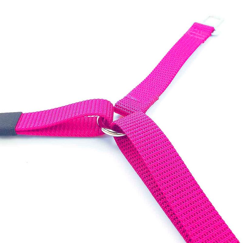 CINTURON-DE-SEGURIDAD-DOBLE-DE-CARRO-PARA-MASCOTAS-CON-REATA-EN-NYLON-PET-7509F-2